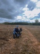 «Это не питомец, а коллега»: кусинский кинолог - о служебной собаке, их работе.