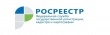 Ежегодно растет число выданных Управлением Росреестра   документов государственного фонда данных 