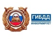     Госавтоинспекция предупреждает об опасности катания на снегокатах у проезжей части.