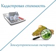 В комиссии Управления Росреестра снизили кадастровую стоимость недвижимости по заявлениям 1266 южноуральцев