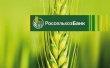 РСХБ увеличил выдачу ипотеки в 2,4 раза