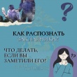 Полицейские разъясняют, как себя вести при обнаружении "закладок"