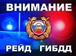 В целях профилактики дорожно-транспортного травматизма и снижения тяжести последствий ДТП с 4 по 7 ноября 2022 года на территории Кусинского муниципального района отделение ГИБДД совместно с Добровольной Народной Дружиной "Дорожный патруль" 