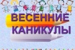 Профилактическое мероприятие «Весенние каникулы»