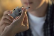 Ответственность за склонение к потреблению наркотических средств несовершеннолетних