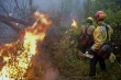 Кусинские полицейские предупреждают о наказание за лесной пожар