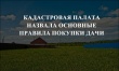 Кадастровая палата назвала основные правила покупки дачи