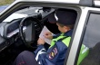  Полицейскими Челябинской области подведены итоги оперативно-профилактического мероприятия «Район»