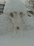 20151228_130315.jpg