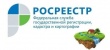 Управления Росреестра работает над улучшением показателей 