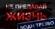 На территории Челябинской области стартует профилактическая акция «Будь трезвым в пути».