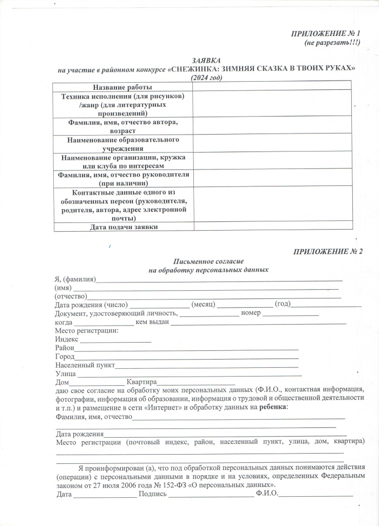 снежинка 20242.jpg
