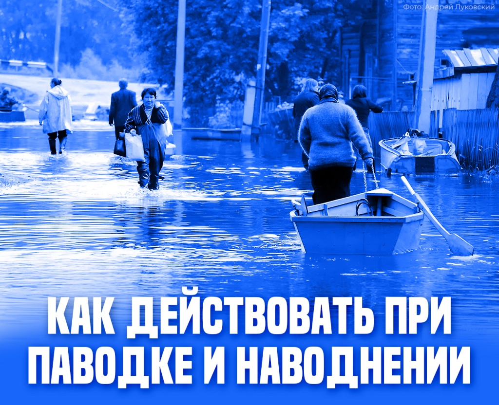 Без названия.jpg