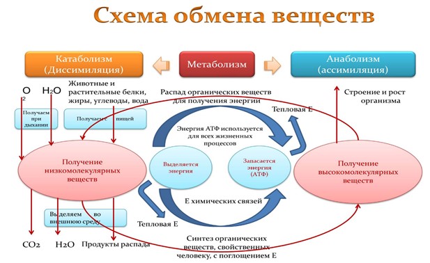 Screenshot_2.jpg Screenshot_2.jpg