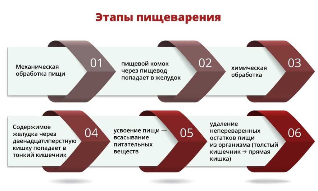 2.jpg 2.jpg