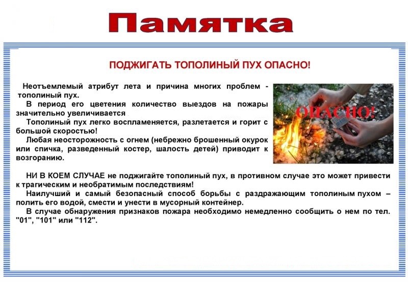 топол.пух-угороза.jpg