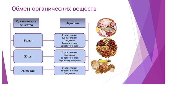 Screenshot_2.jpg