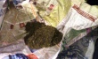 Кусинские полицейские изъяли наркотические средства растительного происхождения
