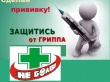 Вакцинация эффективная  мера профилактики гриппа