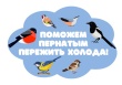 В Челябинской области стартует традиционная акция «Синичка»