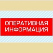 ОПЕРАТИВНАЯ ИНФОРМАЦИЯ № 113