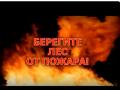 Главная причина природных пожаров   неосторожное обращение с огнем 