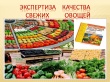 Памятка населению: Рекомендации по безопасному приобретению плодоовощной продукции. 