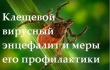 О мерах профилактики клещевого вирусного энцефалита