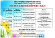 Приглашаем Вас посетить мастер - классы "Пасхальный вернисаж"